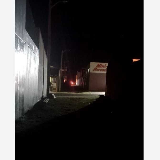 Imagem da publicação