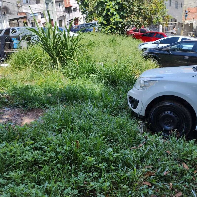 Imagem da publicação