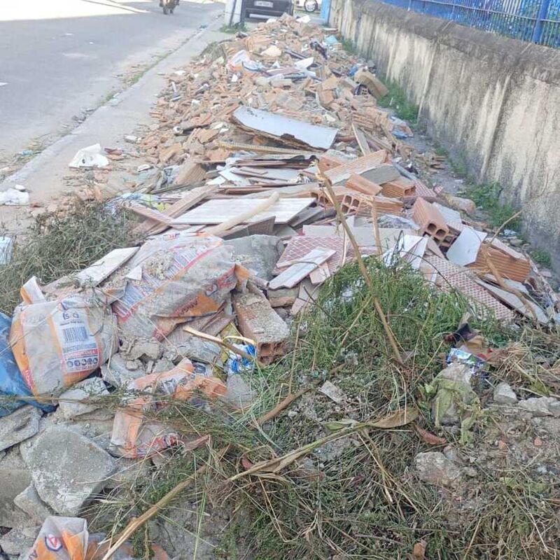 Imagem da publicação