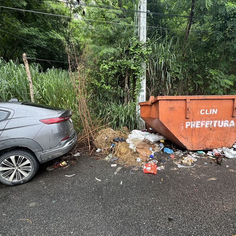 Imagem da publicação