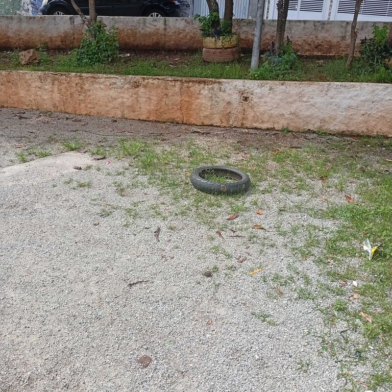 Imagem da publicação