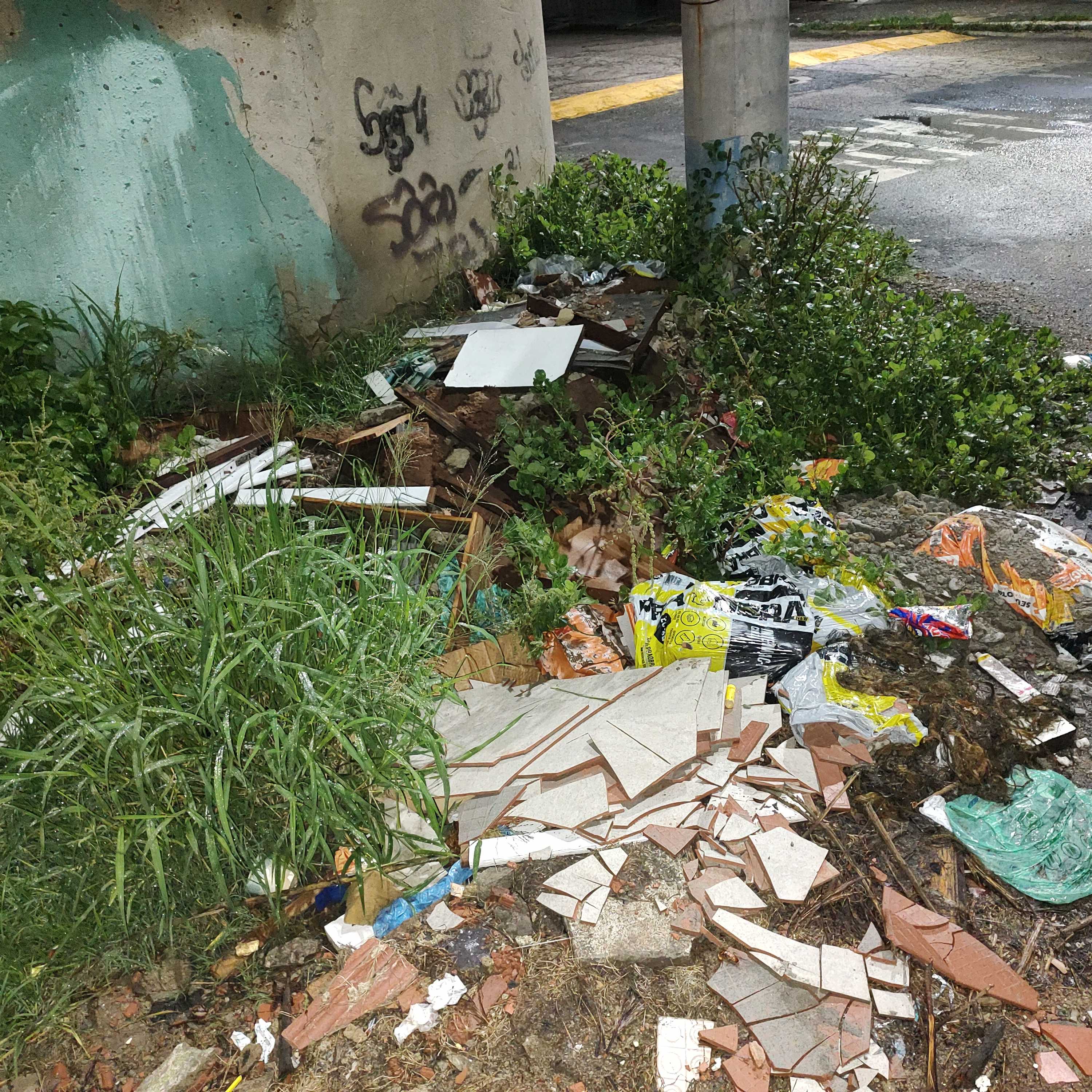 Imagem da publicação