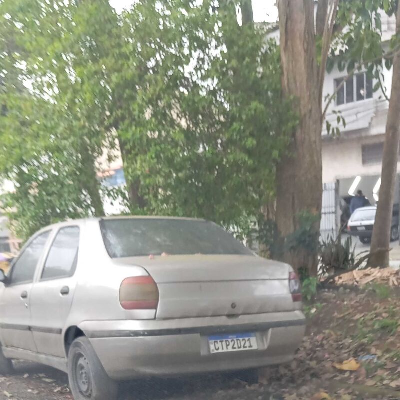 Imagem da publicação