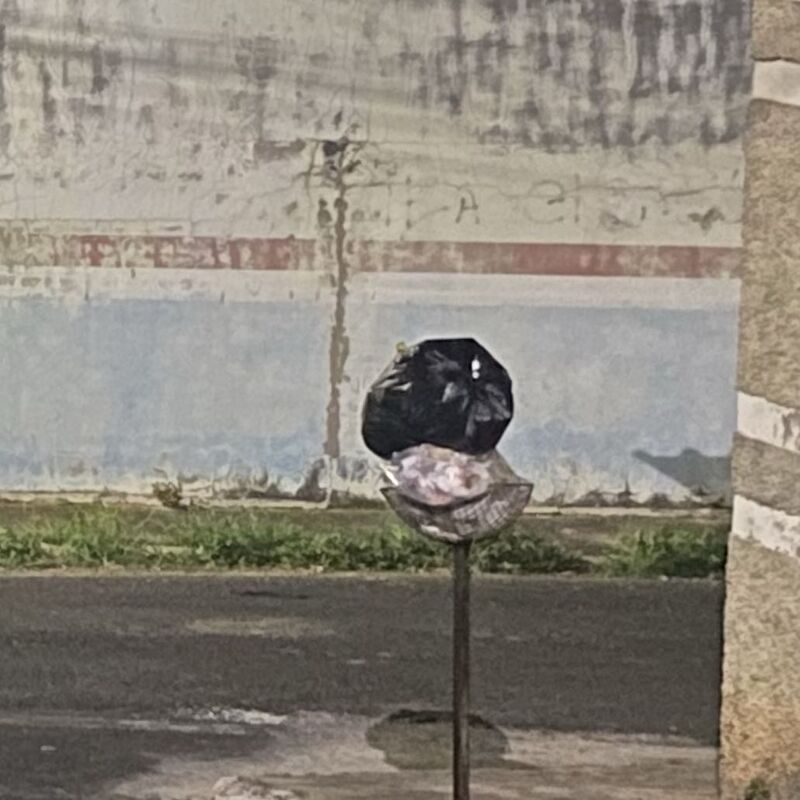 Imagem da publicação
