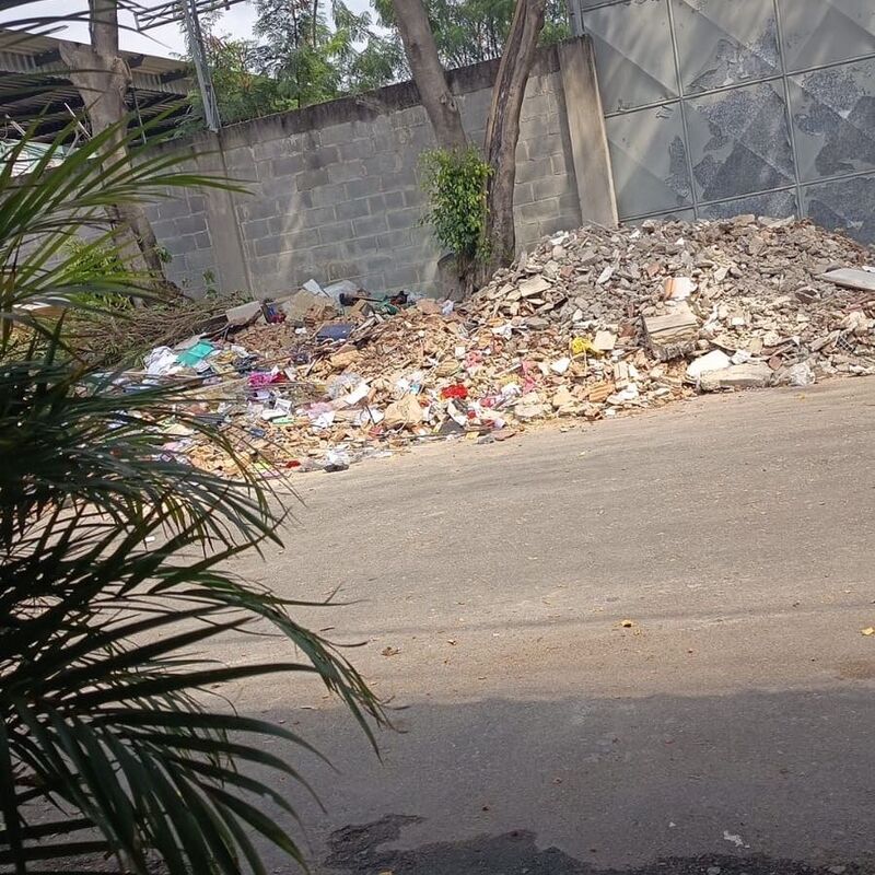 Imagem da publicação