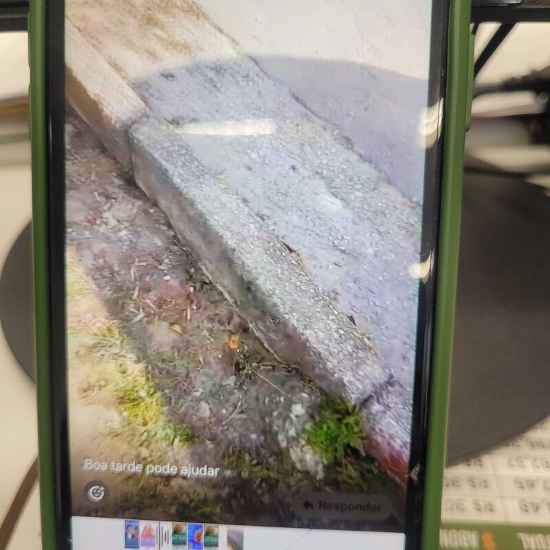 Imagem da publicação