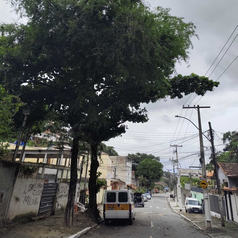 Imagem da publicação