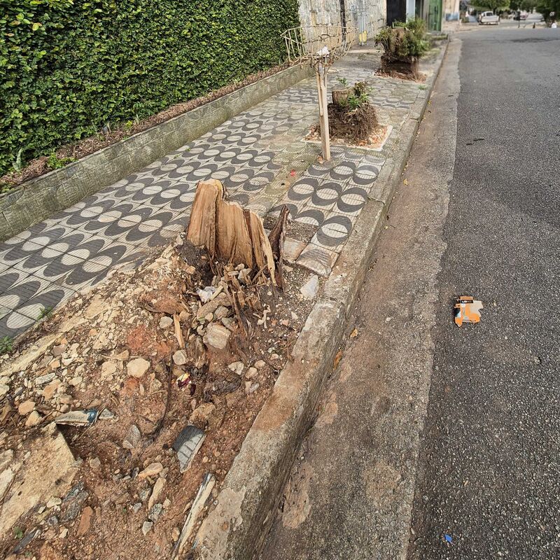 Imagem da publicação