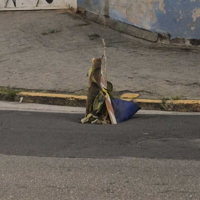 Imagem da publicação
