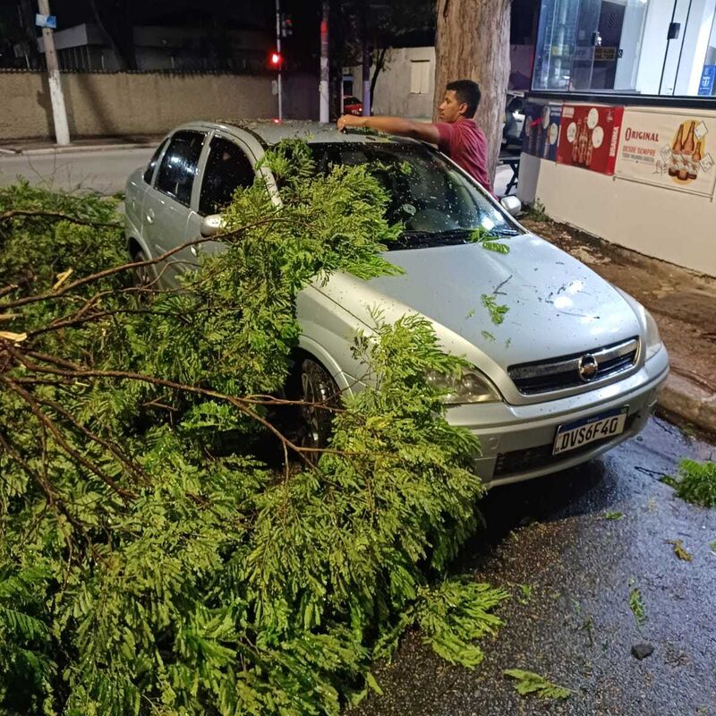 Imagem da publicação