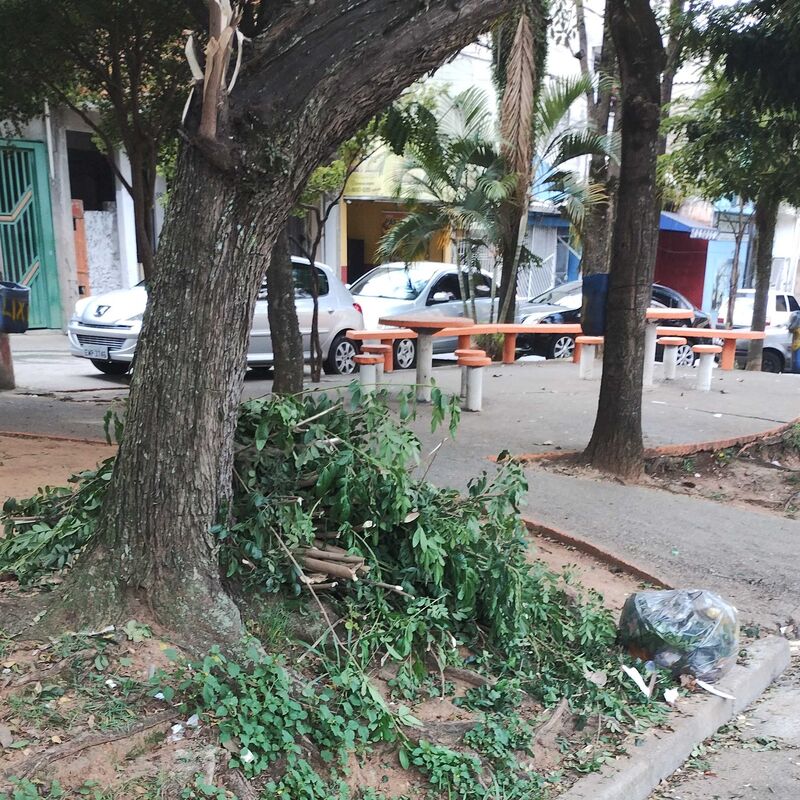 Imagem da publicação