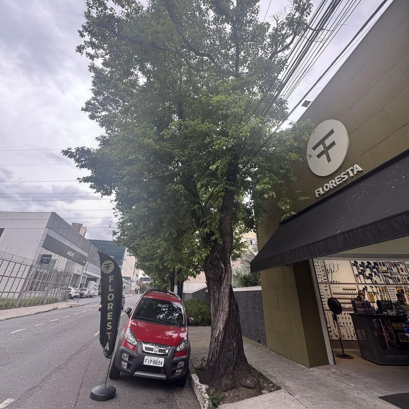 Imagem da publicação