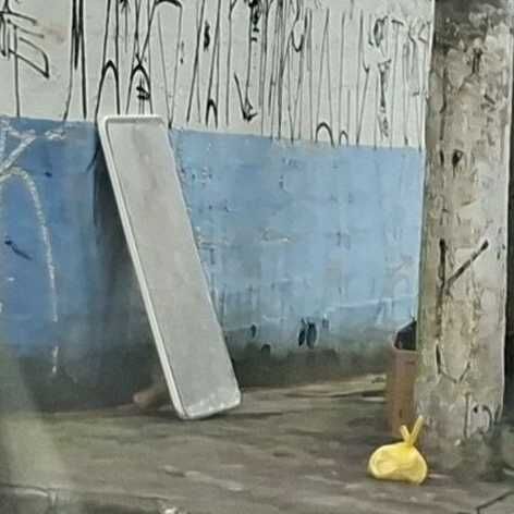 Imagem da publicação