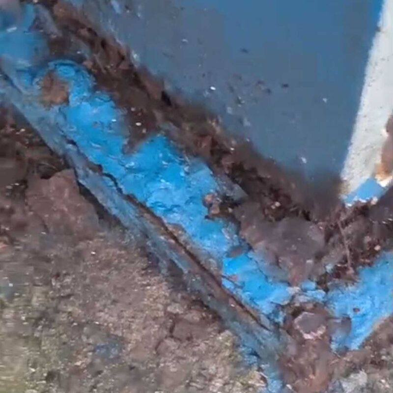 Imagem da publicação