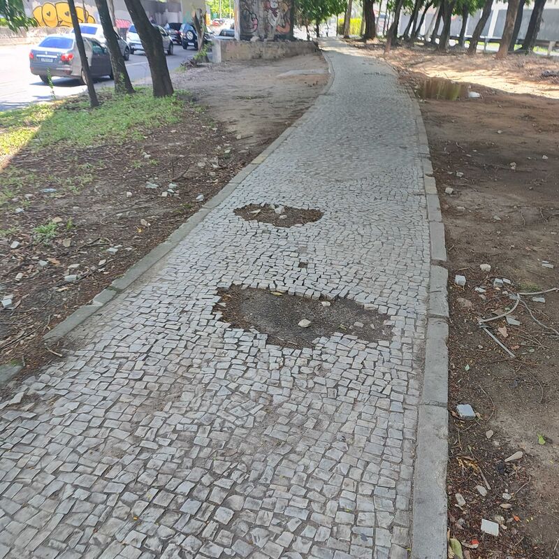 Imagem da publicação