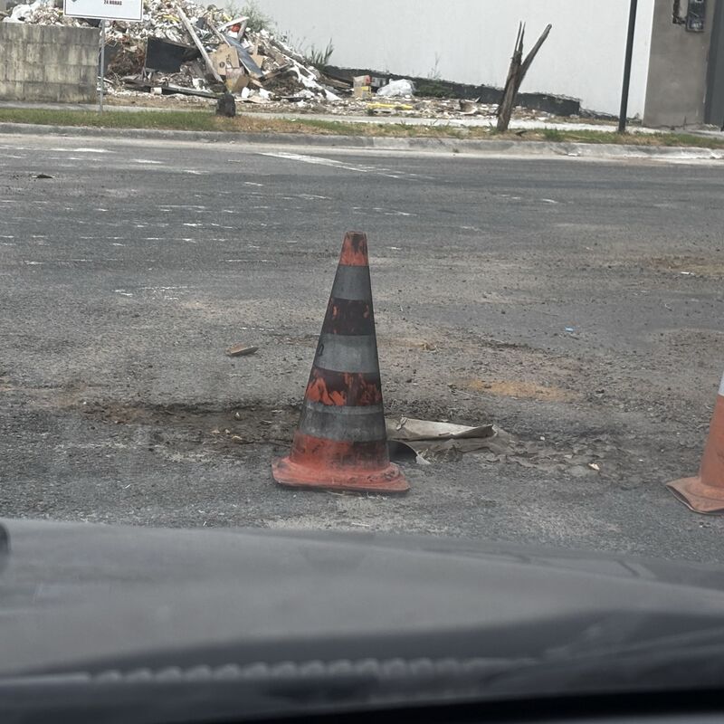 Imagem da publicação