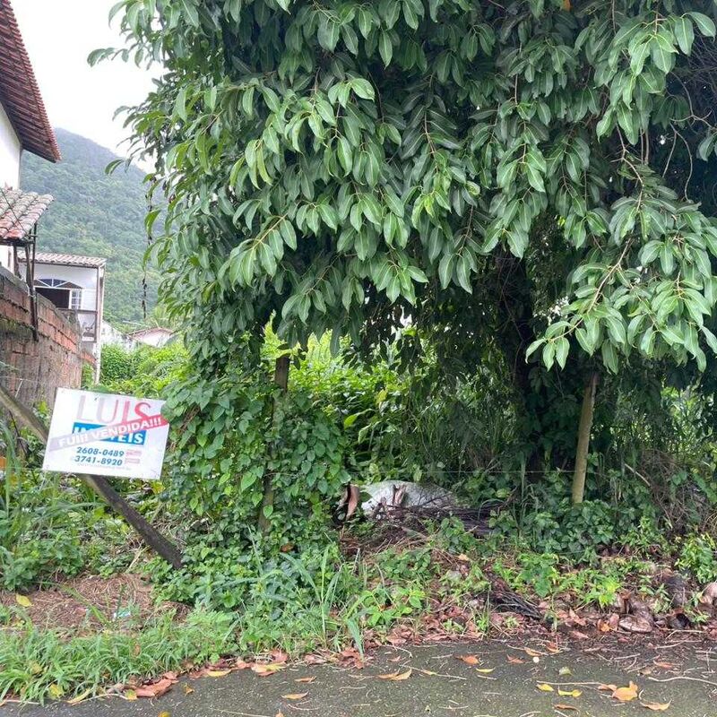 Imagem da publicação