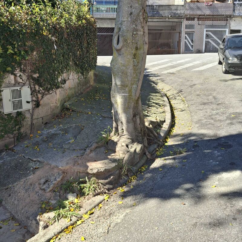 Imagem da publicação