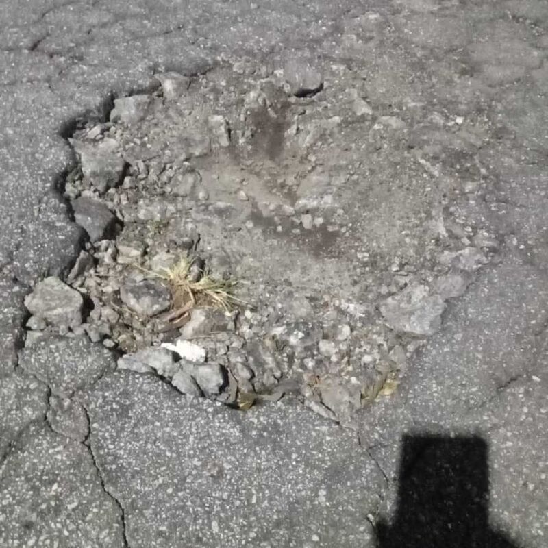 Imagem da publicação