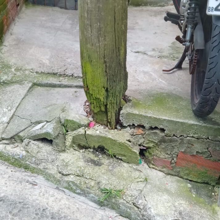 Imagem da publicação