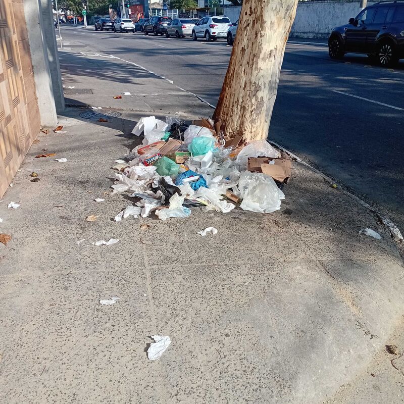 Imagem da publicação