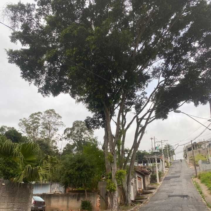 Imagem da publicação