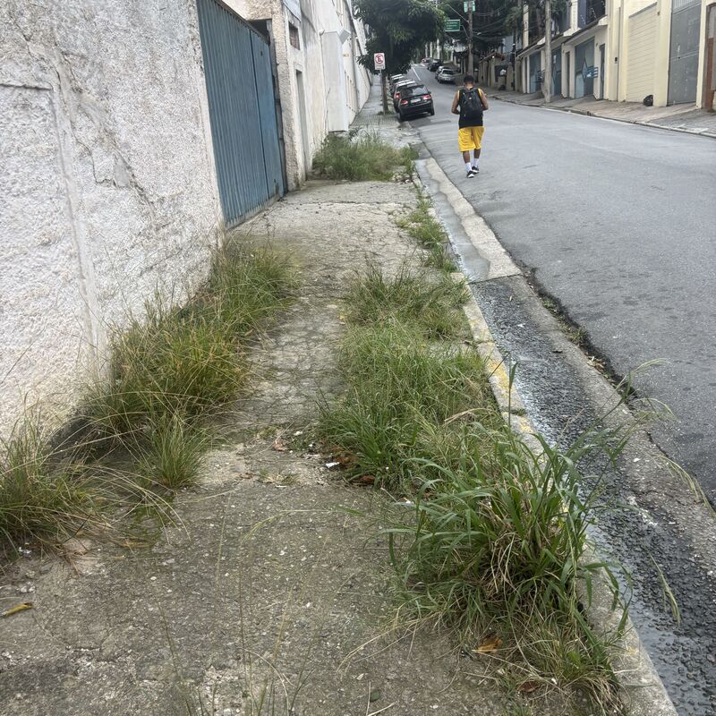 Imagem da publicação