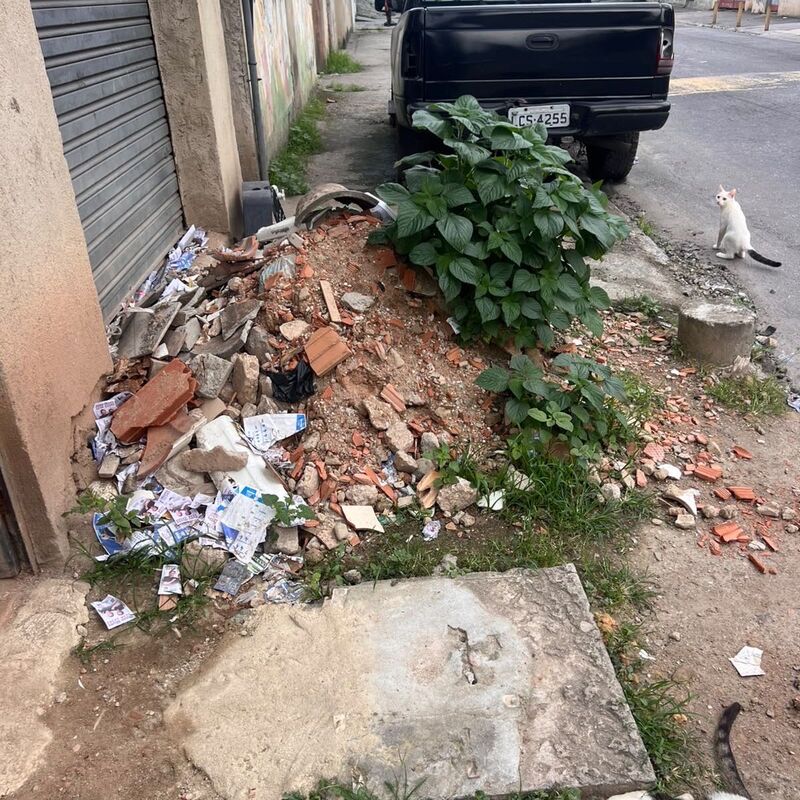 Imagem da publicação
