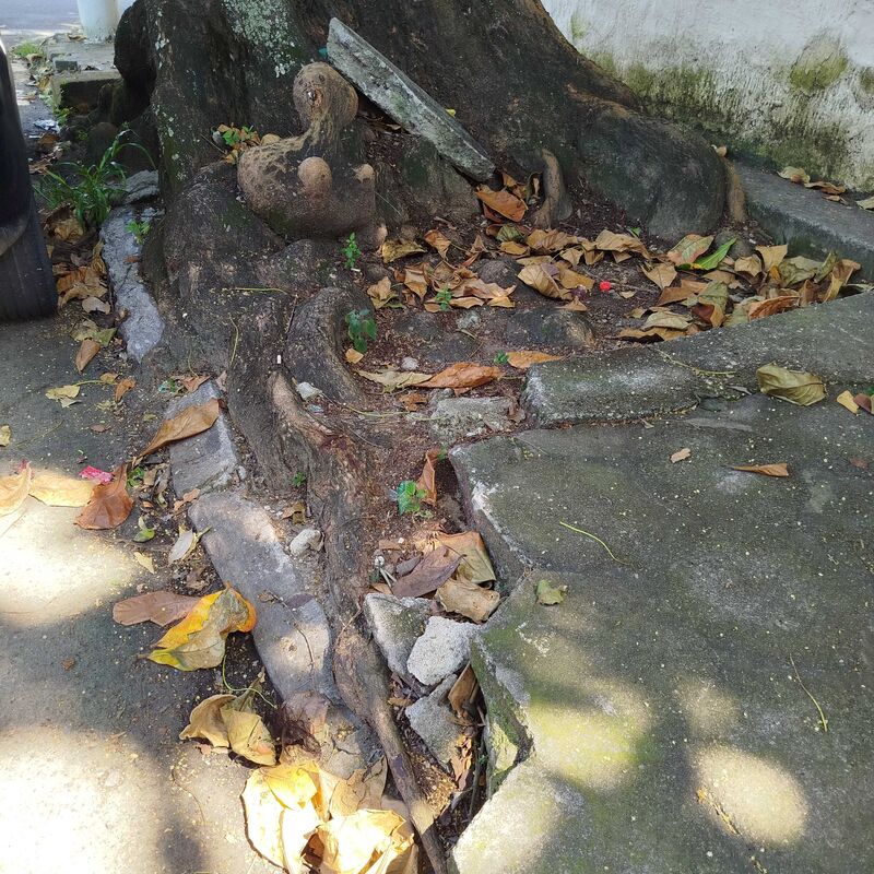 Imagem da publicação