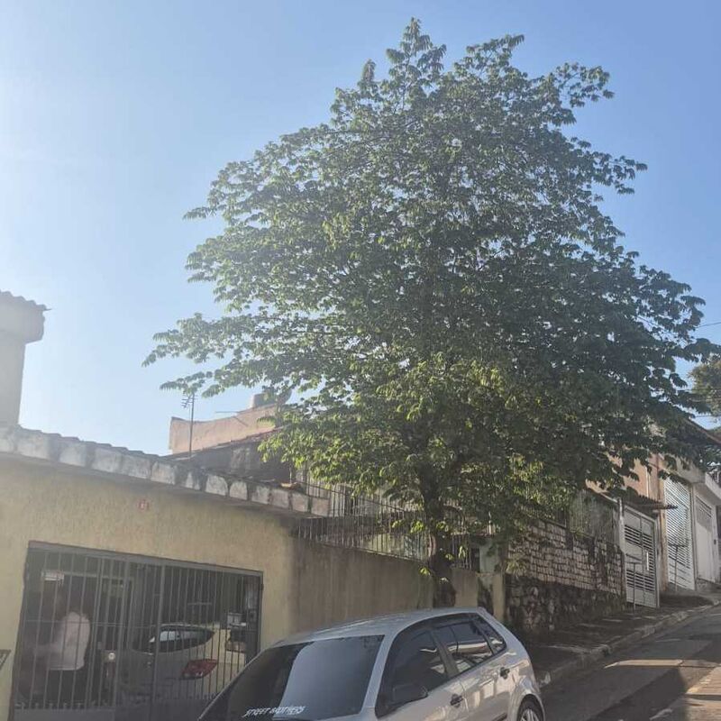Imagem da publicação