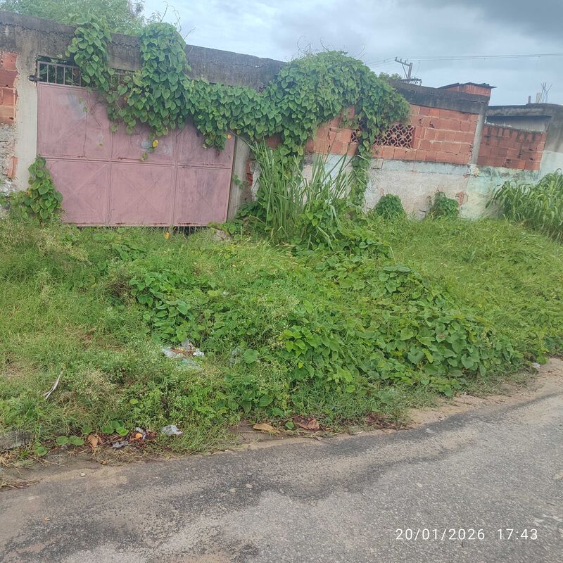 Imagem da publicação