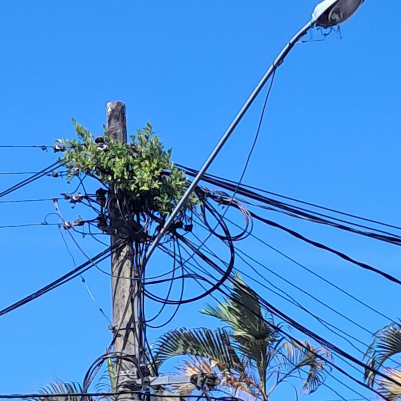 Imagem da publicação