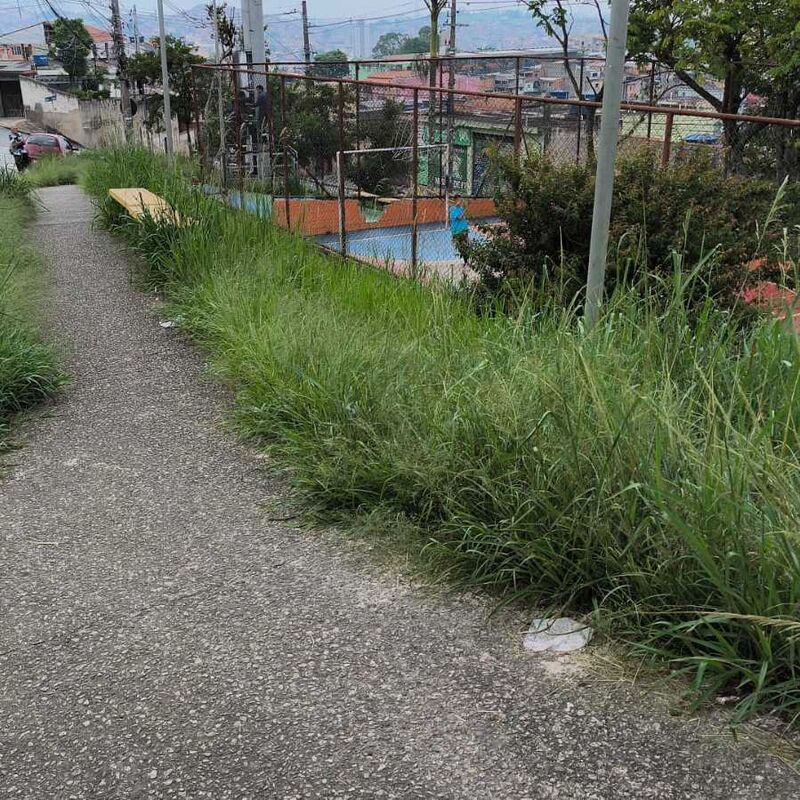 Imagem da publicação