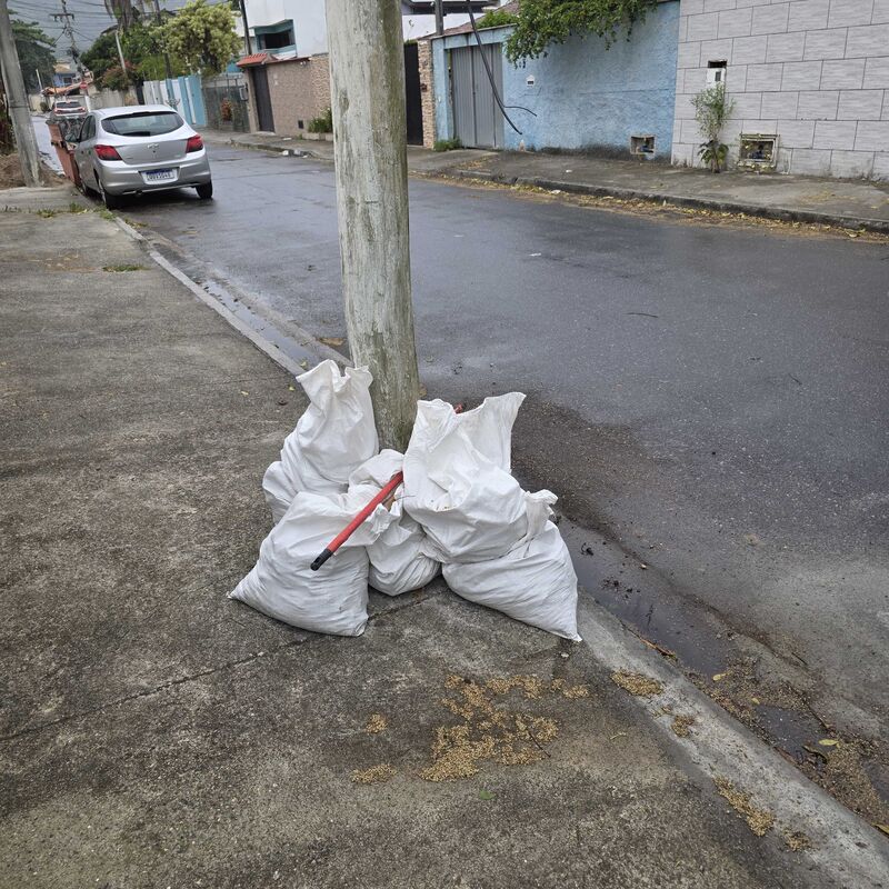 Imagem da publicação