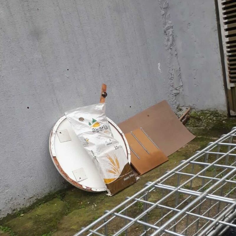 Imagem da publicação