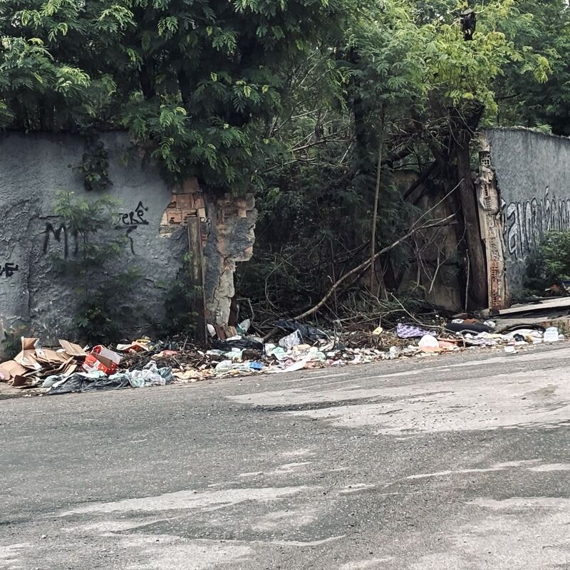 Imagem da publicação