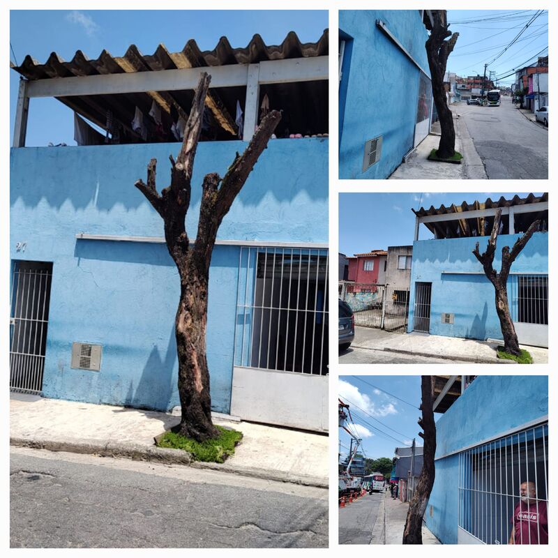 Imagem da publicação