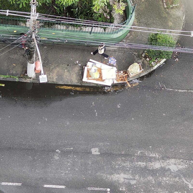 Imagem da publicação