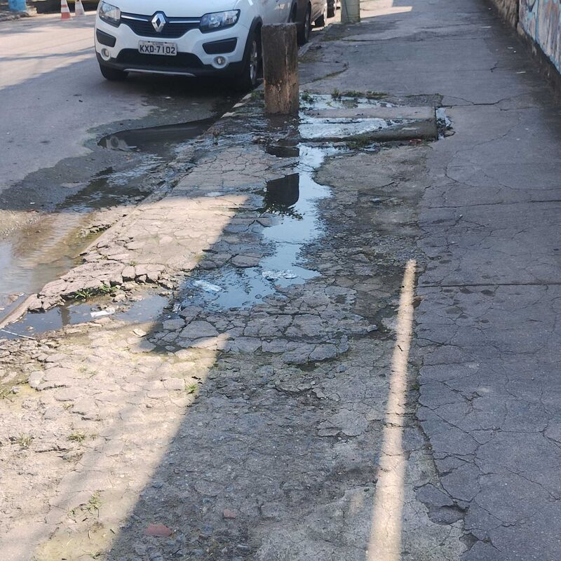 Imagem da publicação