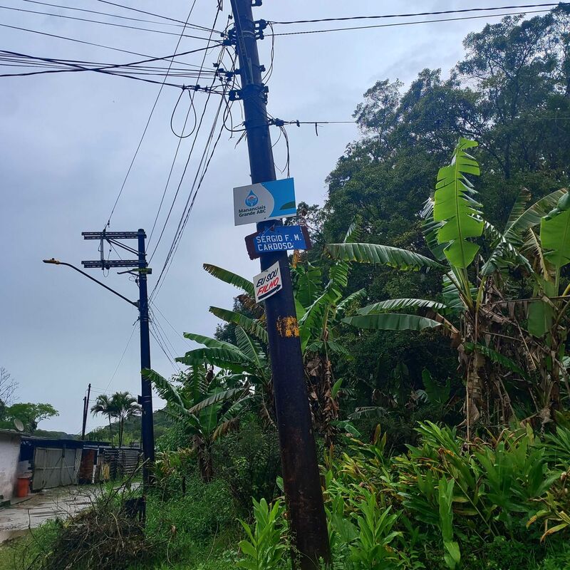 Imagem da publicação