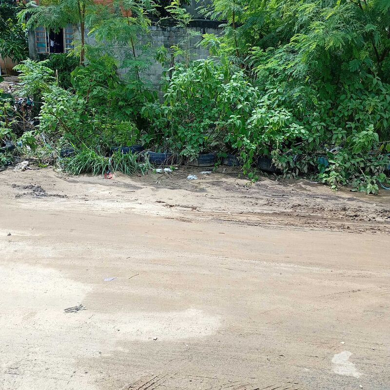 Imagem da publicação