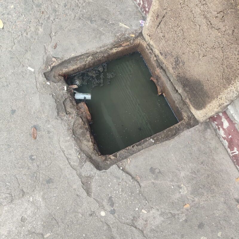 Imagem da publicação