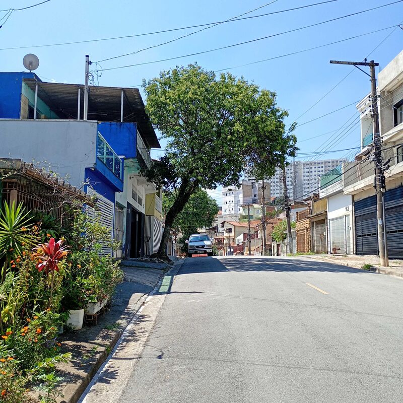 Imagem da publicação