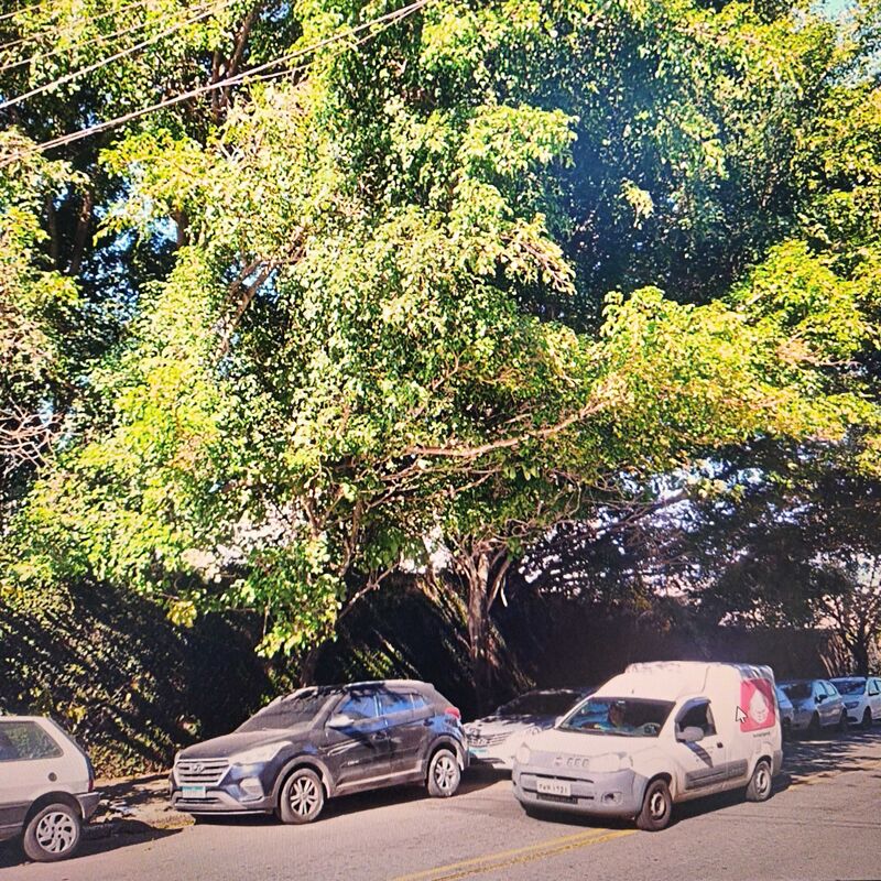 Imagem da publicação