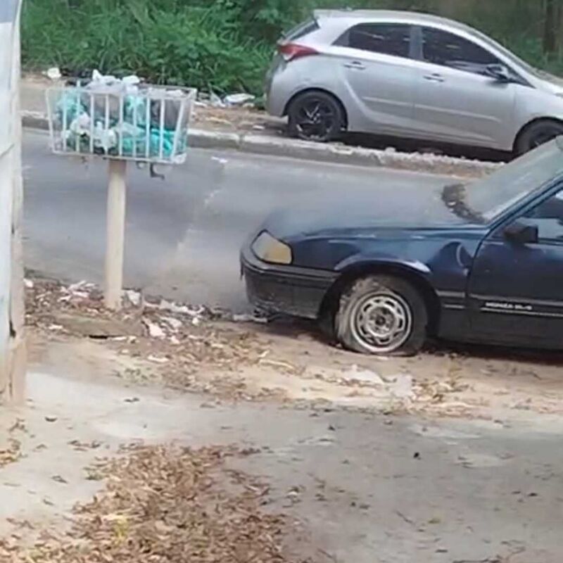 Imagem da publicação