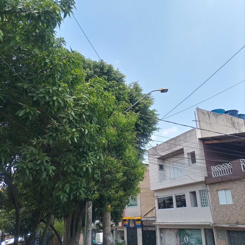 Imagem da publicação