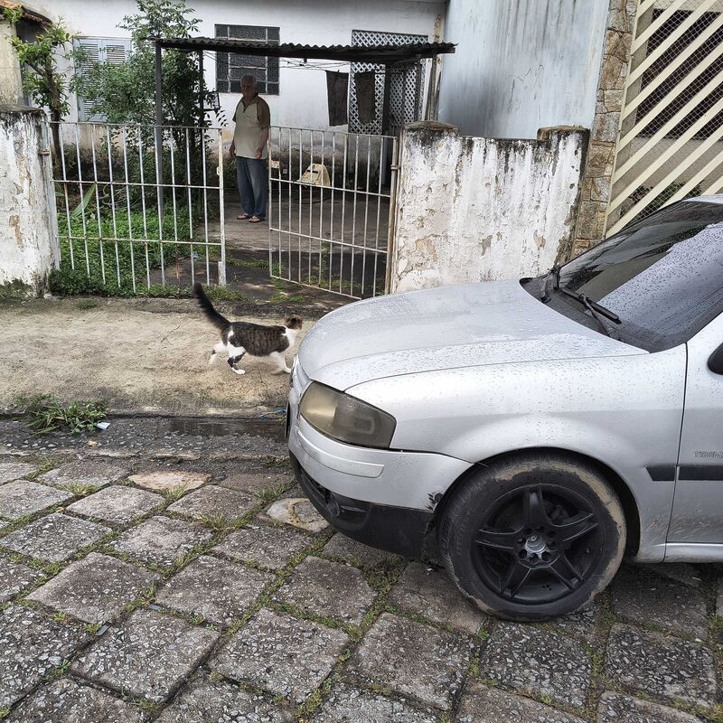 Imagem da publicação