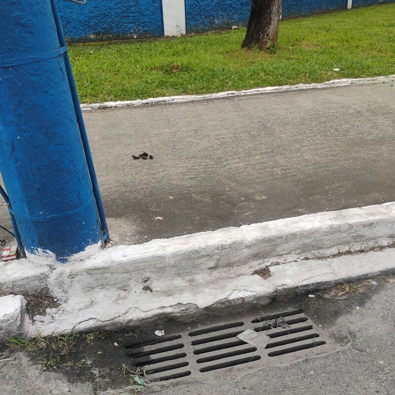 Imagem da publicação