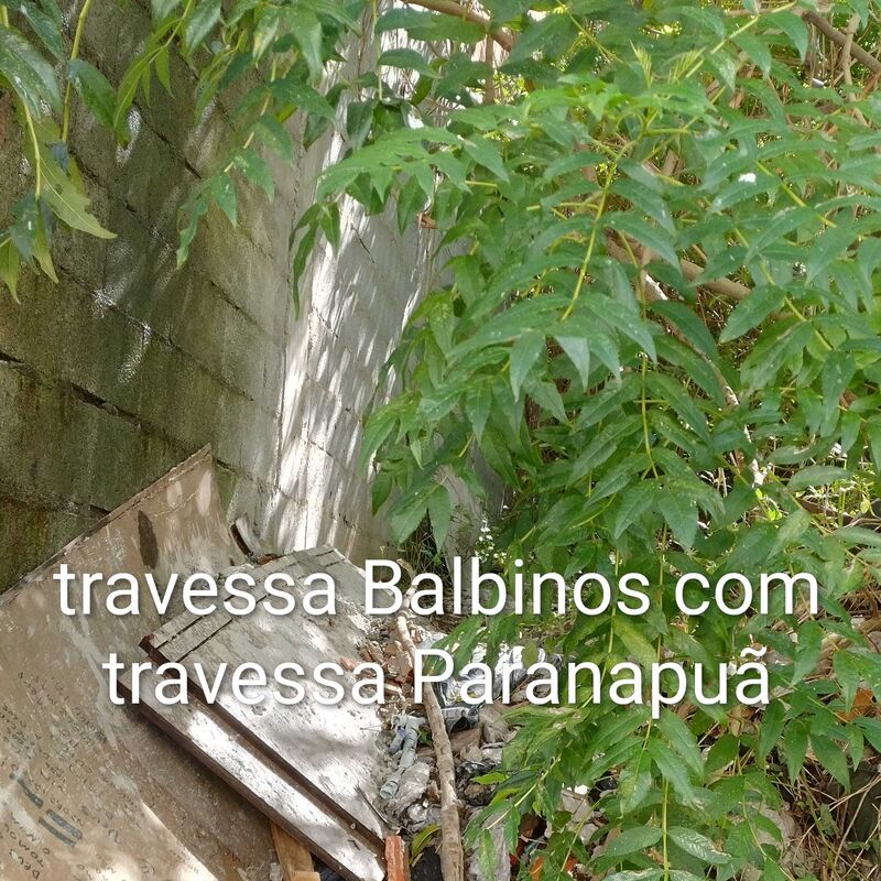 Imagem da publicação