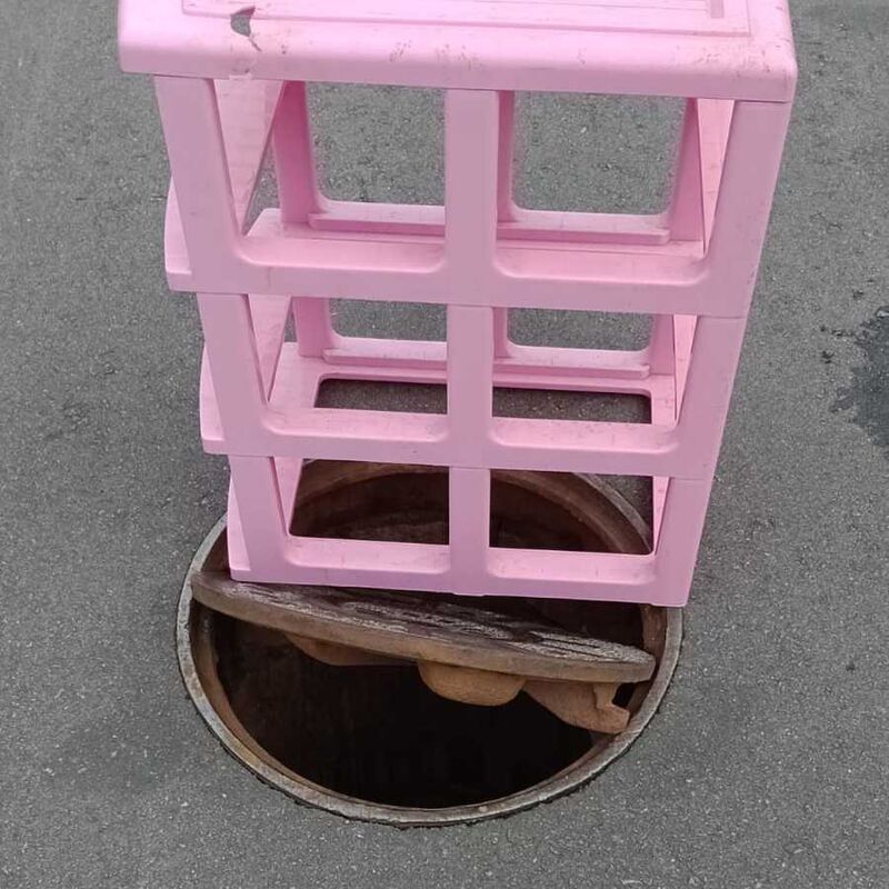 Imagem da publicação